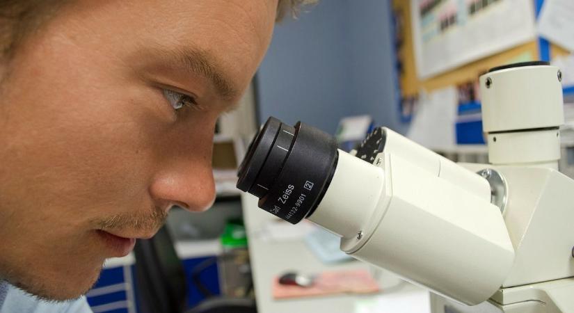 A HU-Rizont program idei pályázatán 23 program kapott támogatást