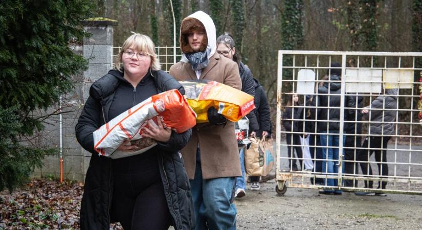 Állatok Karácsonya – ünnepi délután a menhelyen