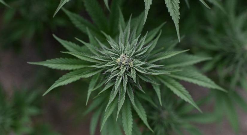 Egzisztenciális üresség és szerhasználat: miért nem válasz a drog a jelentés-hiányra