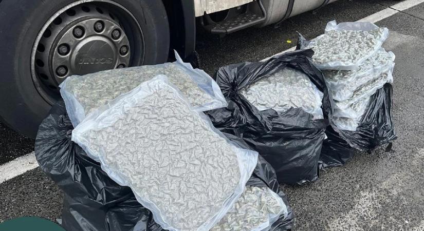 A zalakomári pihenőben bukott le a bolgár kamion: 44 kilogramm marihuánát találtak
