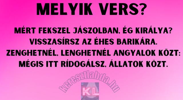 Napi irodalom feladat: Felismered a legszebb karácsonyi sorokat?