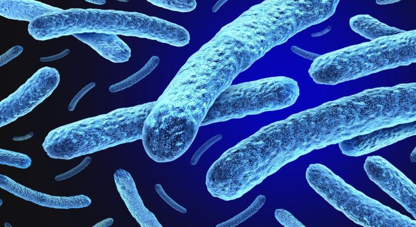 Évtizedek után újra felbukkant Európában egy „elfelejtett” betegség, egyre több uniós országban bukkan fel – mit kell tudni a lepráról?