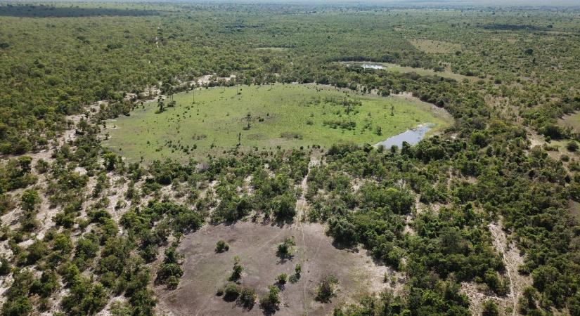 Magyar kutatók módszere segít megfejteni a tündérkörök geofizikai rejtélyét