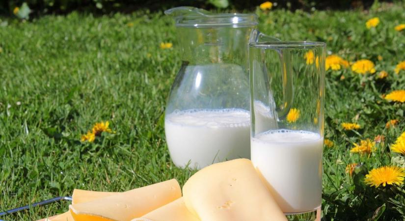 Kína vámokat vet ki az EU tejtermékeire – folytatódik a kereskedelmi háború