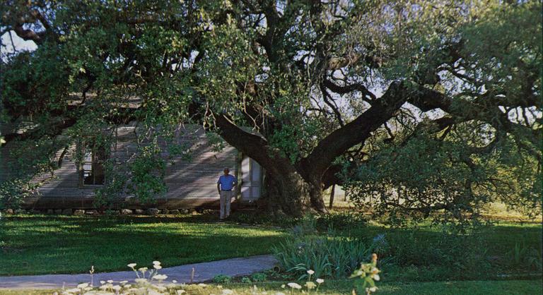 Kollár Árpád: Végre, megöregedtünk!