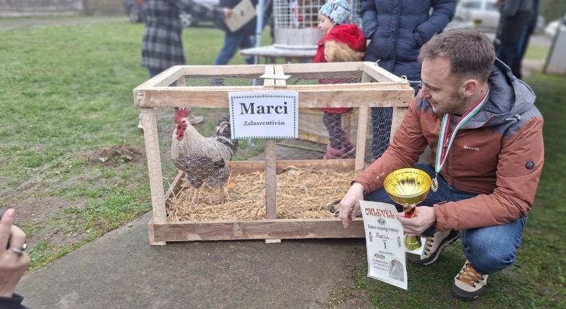 Zala vármegye legszebb kakasa lett Marci Kerkabarabáson