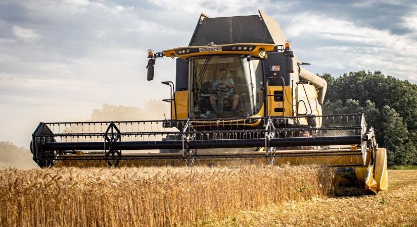 Agrárminisztérium: szó sincs arról, hogy a tőkealapok előtt megnyílt volna a termőföldpiac