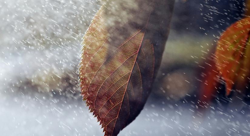 Nőtt a fehér karácsony esélye