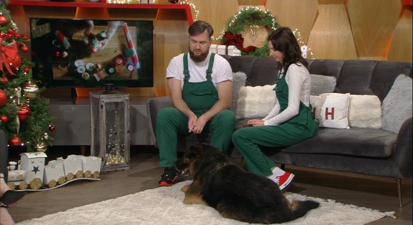 Kutyabarát kert: Balu, az óriás németjuhász története