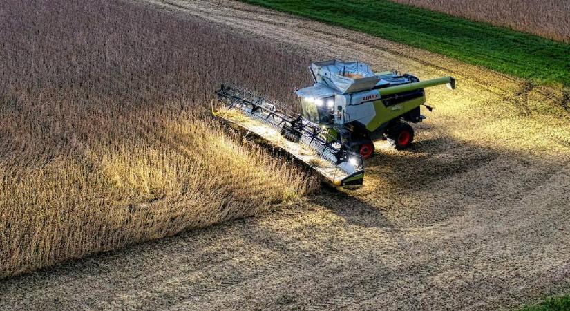 A szójabab kurzusa továbbra is csökkenő tendenciát mutat