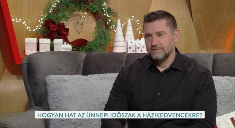 Kutyabiztos karácsony és szilveszter: tippek Varga Balázs kutyatrénertől