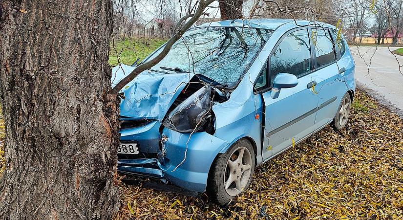 Képeken mutatjuk a Makón fának ütközött autó helyszínét (galéria)