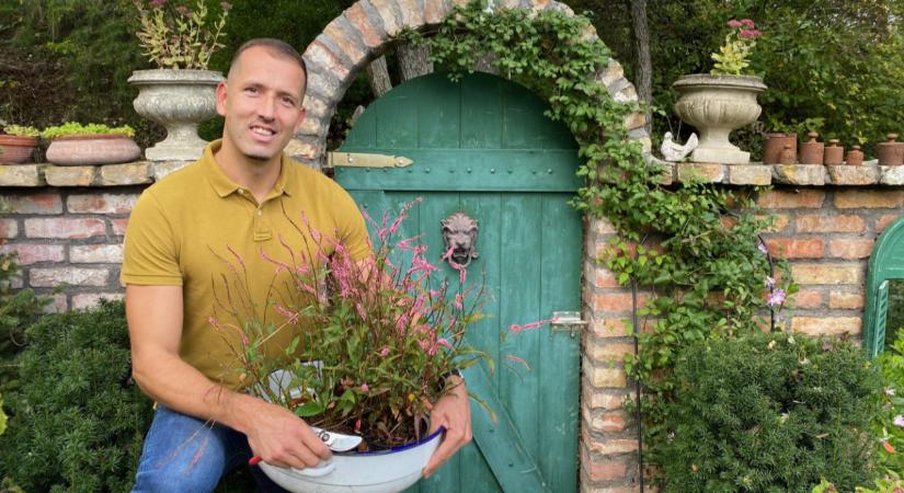 Karácsonyi meglepetés-videó készült a kertbarátoknak: Borbás Marcsi, Szomoru Miklós, Udvaros Dorottya mellett sok hazai sztár üzent