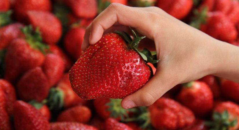 Ha ilyet vett azonnal vigye vissza a boltba: népszerű gyümölcsöt hívott vissza a Spar növényvédőszer-tartalom miatt