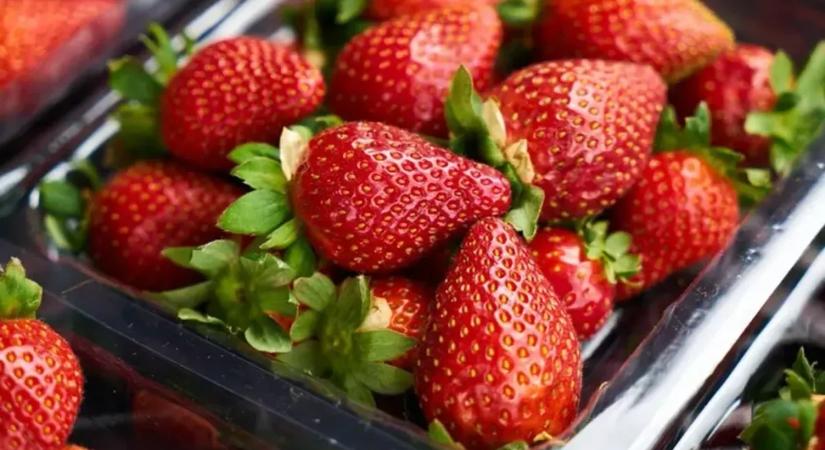 Termékvisszahívás: mérgező lehet a népszerű fagyasztott gyümölcs