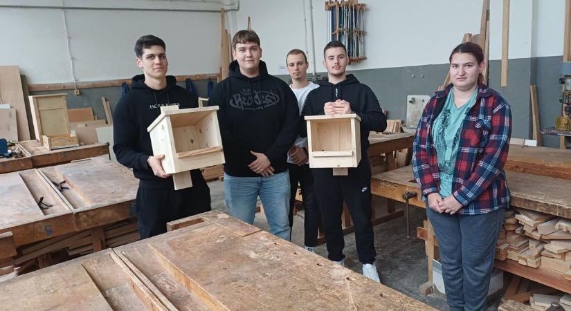 Zalai iskola páratlan természetvédelmi akciója: az egymillió forintos eszmei értékű kék vércséknek készítettek költőládákat