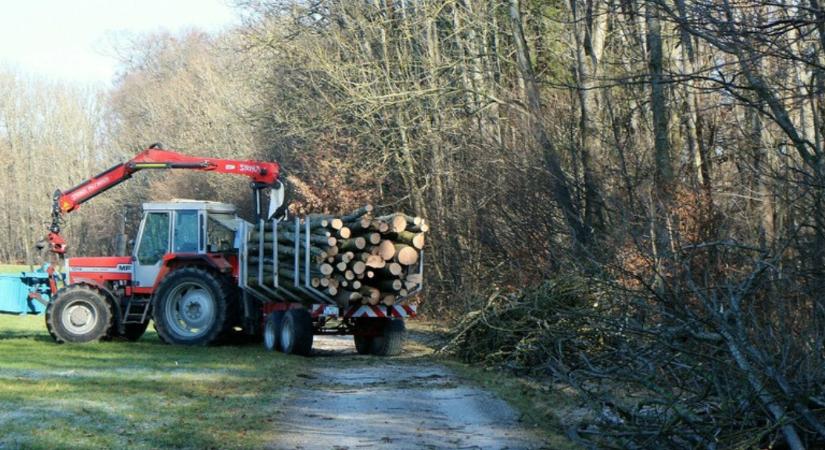 Időjárás: Túlnyomóan borult, párás, helyenként ködös idő várható  VIDEÓ