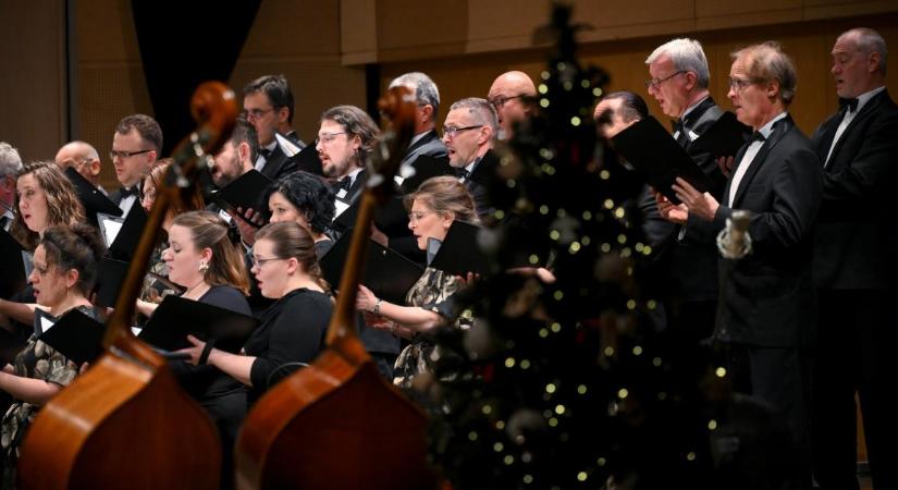 Csodás dallamokkal az online teret is meghódítaná jövőre a Kodály Filharmónia – videóval