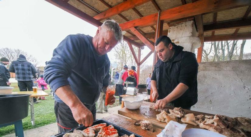 Disznóságok, repülő régész és a legjobb éttermek – ez történt februárban Veszprém vármegyében