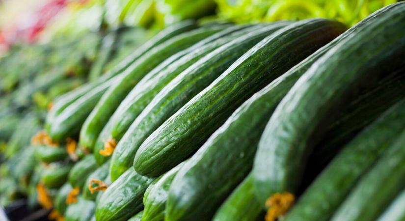 Kiderült, miért van jelenleg „aranyáron” az uborka Magyarországon