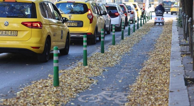 Sál, sapka, telefon – de nem csak ezeket felejtik az emberek taxikban