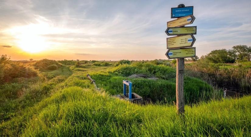 Turisztikai vetélkedő gyerekeknek – fókuszban az Alföldi Kéktúra