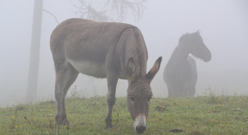 A hétvégén is borult, párás, ködös idő várható