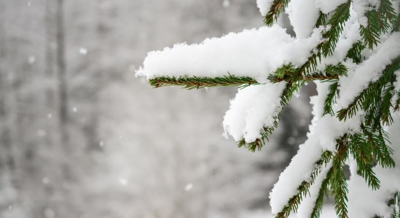 Elmarad a fehér karácsony? Meteorológus válaszolt a nagy kérdésre