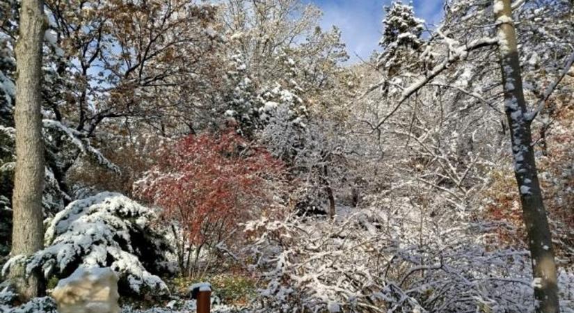 Mérlegen az év: rekordösszegű fejlesztések és közösségi sikerek a Duna-Drávánál