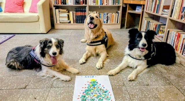 Kutyás karácsony a Hospice osztályon