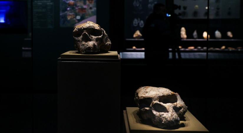 Félelmetes koponyát találtak a tudósok, ez mindent megváltoztat, amit az emberről tudtunk, ők lehettek az őseink?