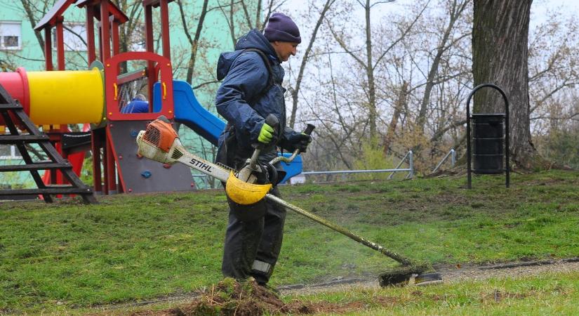 Nemcsak pénz nincs: súlyos munkaerőhiány sújtja Pécs városüzemeltetését