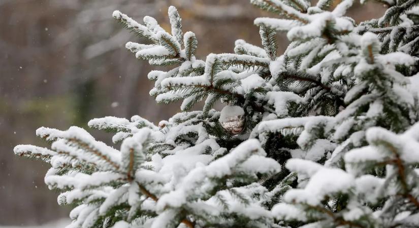 Karácsonyi időjárás: ezen a napon fog havazni