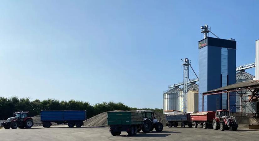 Se pénz, se kukorica: kelet-magyarországi agrárdráma körvonalazódik az ünnepek előtt