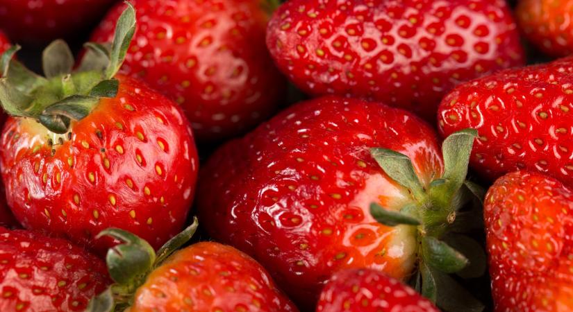 Gyorsfagyasztott szamócát hívtak vissza