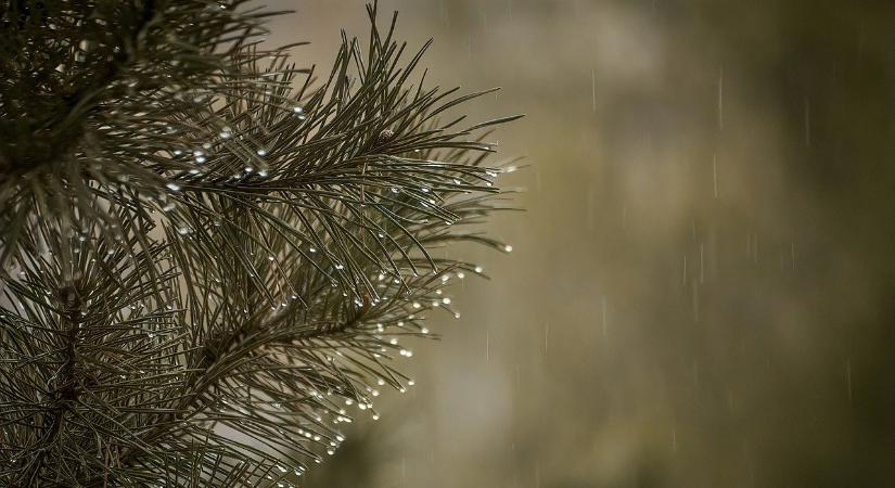 Szitálással, esővel folytatódik a keddi időjárás