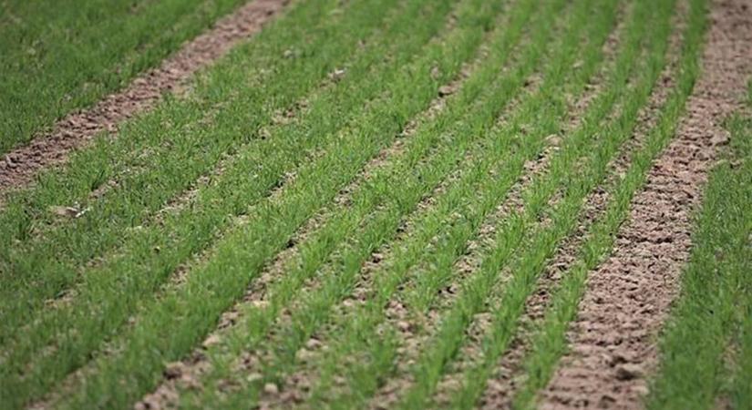 Meteorológia – 2025 - Csapadékra várva