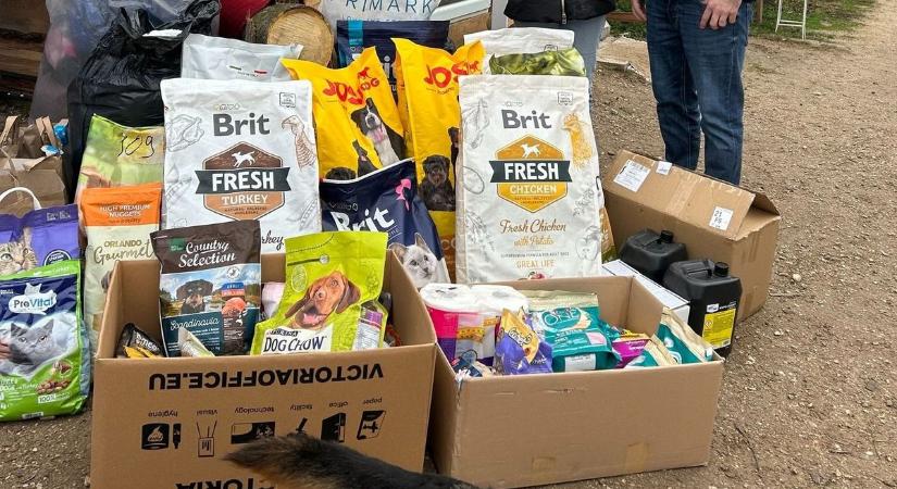 Adományok, amelyre szükség van, s amelyekre nincs egy kutyamenhelyen