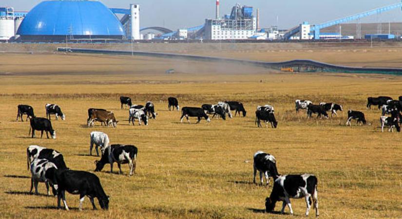 Ez a képzés újítja meg az agráriumot?