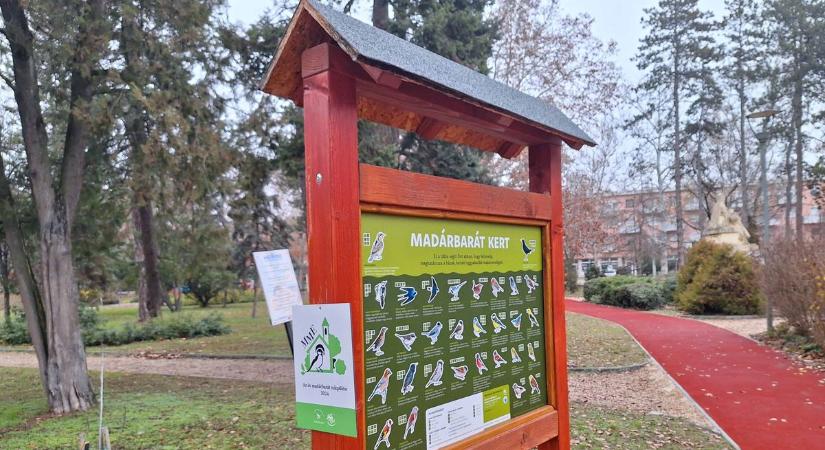 Csongrádon egy séta is elég volt, hogy kiderüljön, miért a madarak városa