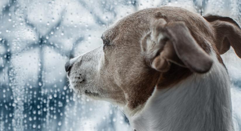 Mediterrán ciklon közeleg – ez fogja meghatározni a karácsonyi időjárást