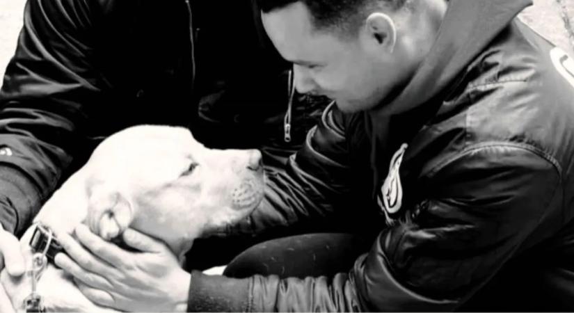 Meggyilkoltak egy kutyát Ercsiben