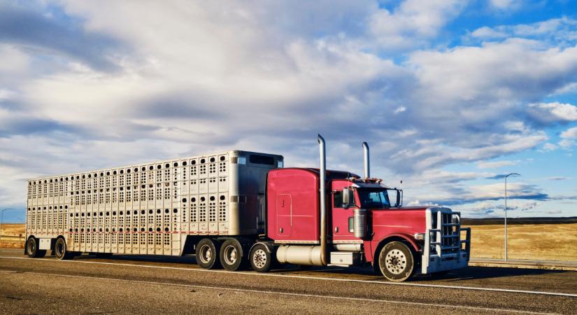 A magyar gazdák is a tiltakozás mellett állnak: félnek attól, ami jöhet