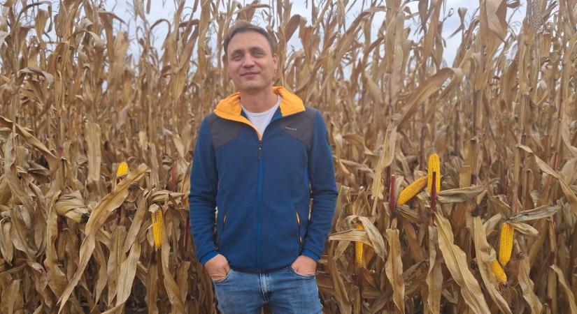 Borsodban öntözés nélkül termett 14 tonnás kukorica, utánajártunk a csodának