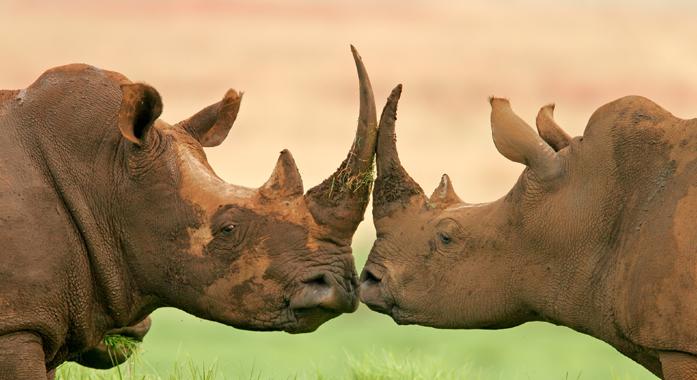 Karácsony a világ körül: Afrika