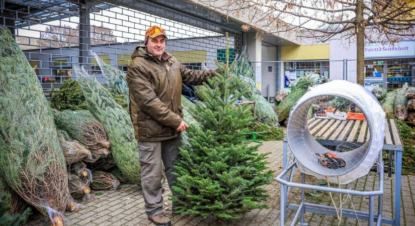 Érdemes sietni a fenyőfa vásárlásával, mert kedden már pakolnak az árusok
