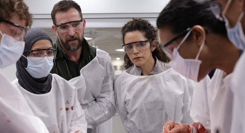 Januárban az HBO Maxon: Ezekről a filmekről és sorozatokról nem érdemes lemaradni 2026 első hónapjában!