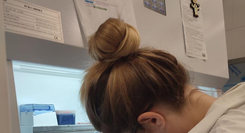 Összefogtak a kutatók, tudományos nyomozás indult a Balaton csúcsragadozója után