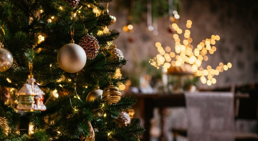 Meseszép karácsonyfák fotókon: inspirálódj ünnepi galériánk segítségével holnapra!