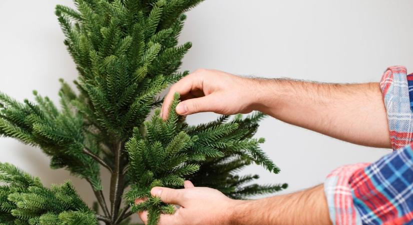 Az igazi vagy a műfenyő a jobb karácsonyra? – Most megválaszoljuk!